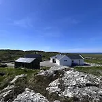 Paddy Carrolls
