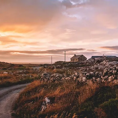 Paddy Carrolls バリーコニーリー