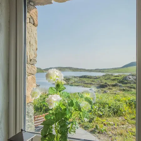 Paddy Carrolls 別荘 *